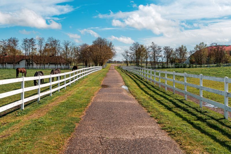 Equine Fence Installation in South Houston, TX
