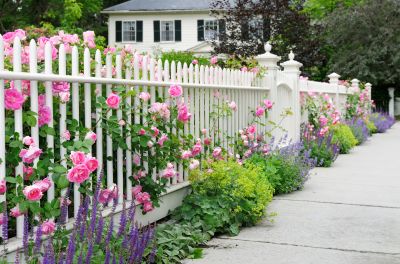 Wood Picket Fence