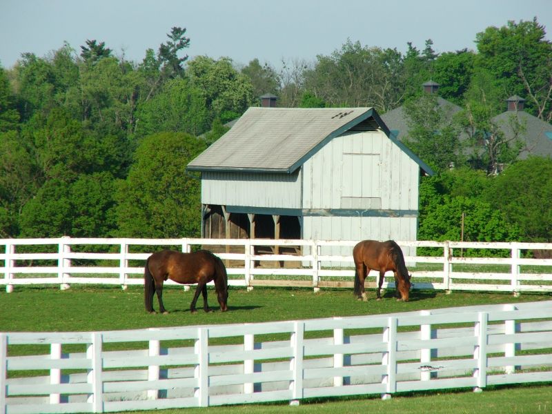 Horse Fence Replacement in Sacramento, CA